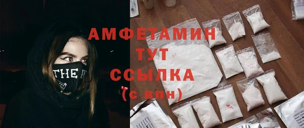ГАЛЛЮЦИНОГЕННЫЕ ГРИБЫ Весьегонск
