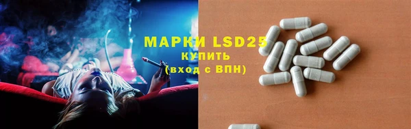 шишки Ветлуга