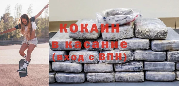шишки Ветлуга