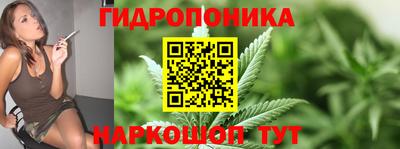 амф Гатчина