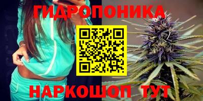 трава Гай