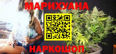 амф Гатчина
