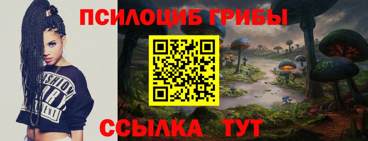 Галлюциногенные грибы Psilocybe Ишимбай