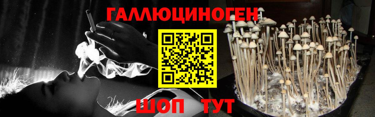 Псилоцибиновые грибы Cubensis  Вход с VPN  наркота  Ишимбай  Псилоцибиновые грибы мицелий 